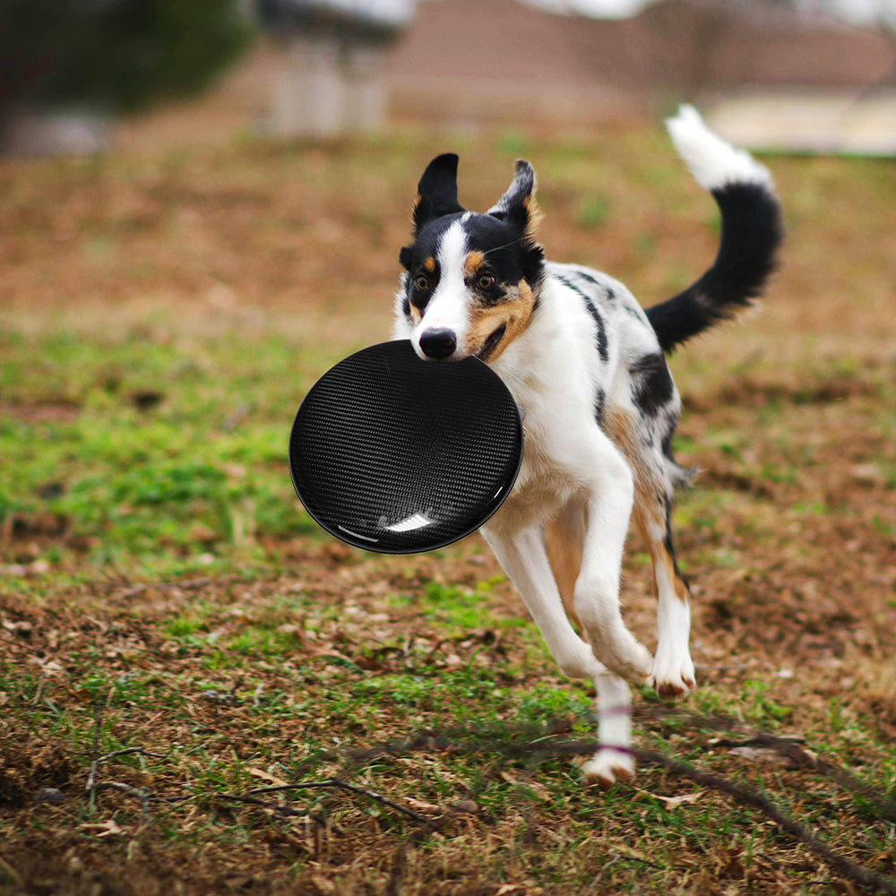 Sports Black Carbon Fiber Frisbee